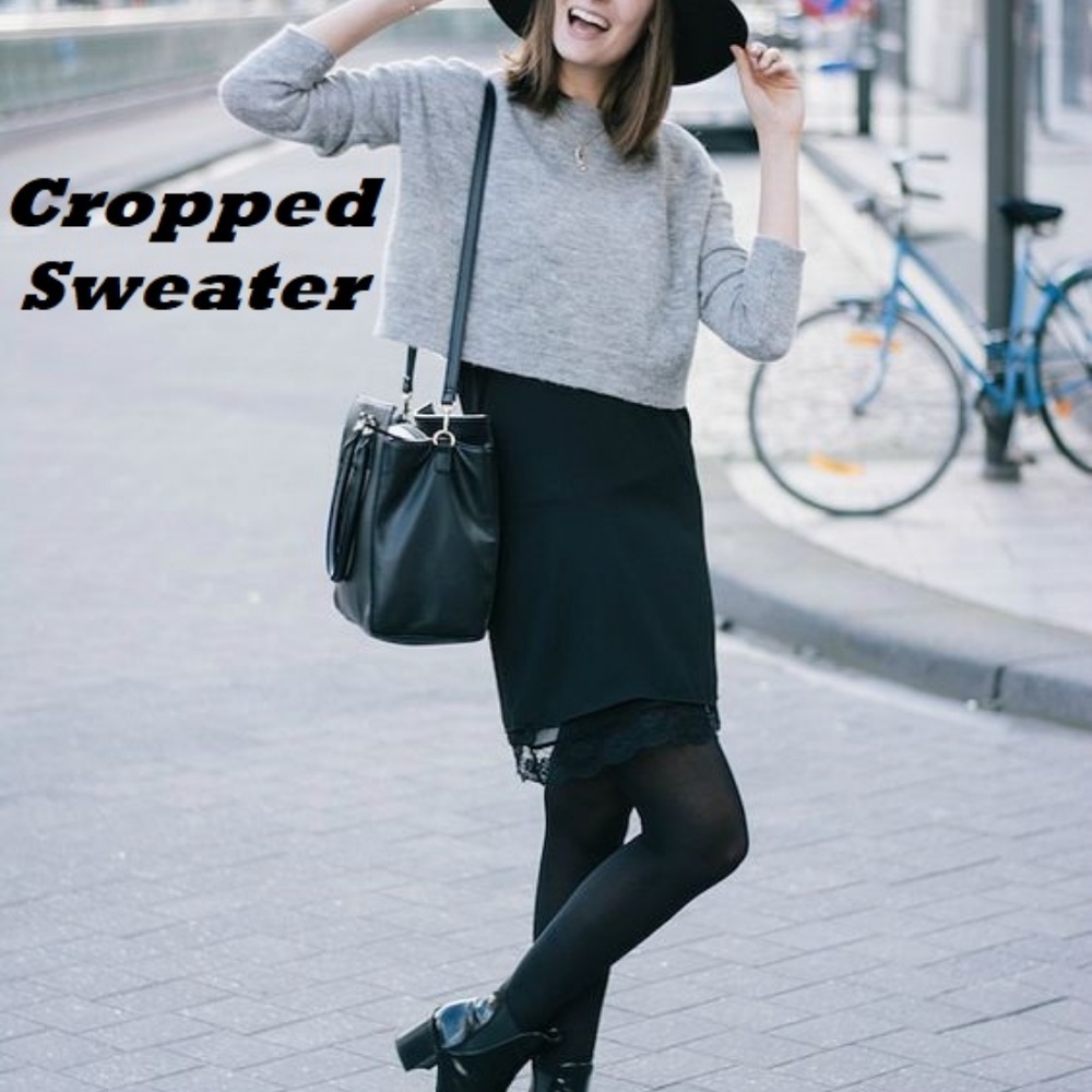 Verve Ami Long Sleeve Cropped Sweater